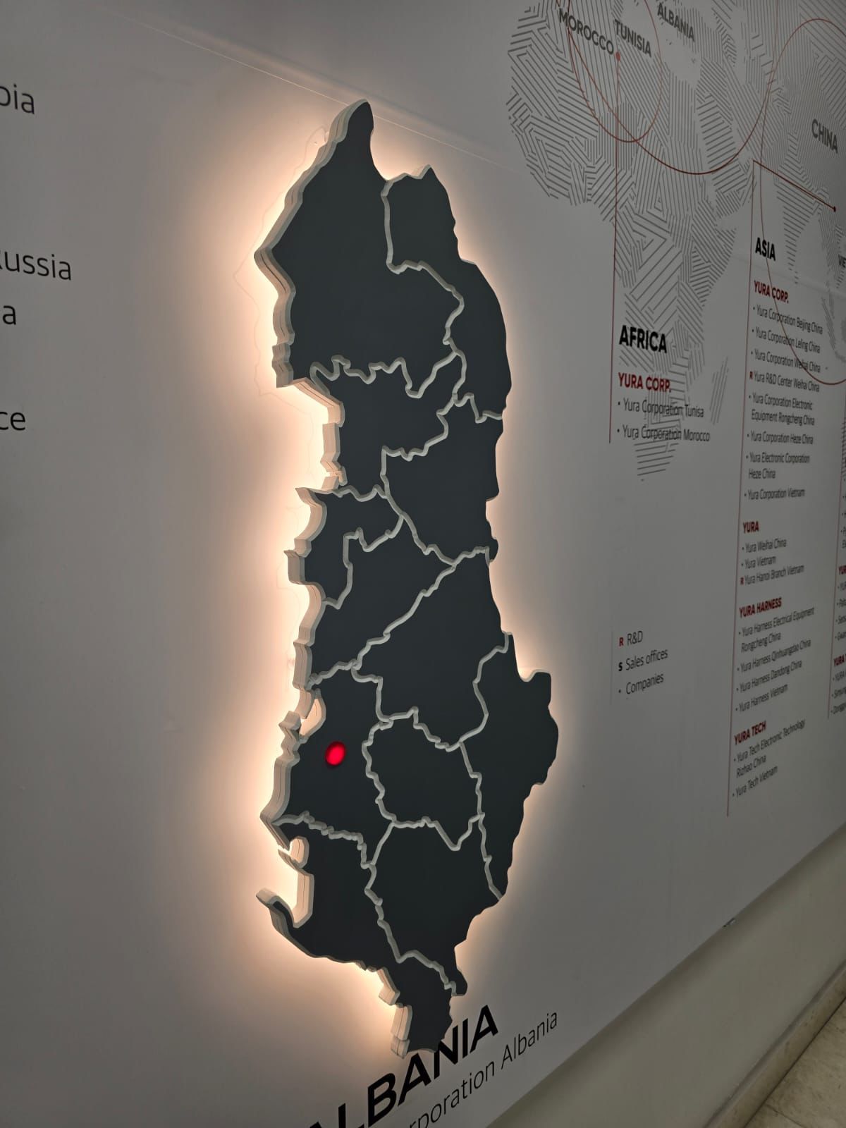 Hartë reliev 3D e Shqipërisë me ndriçim halo në murin e zyrës
